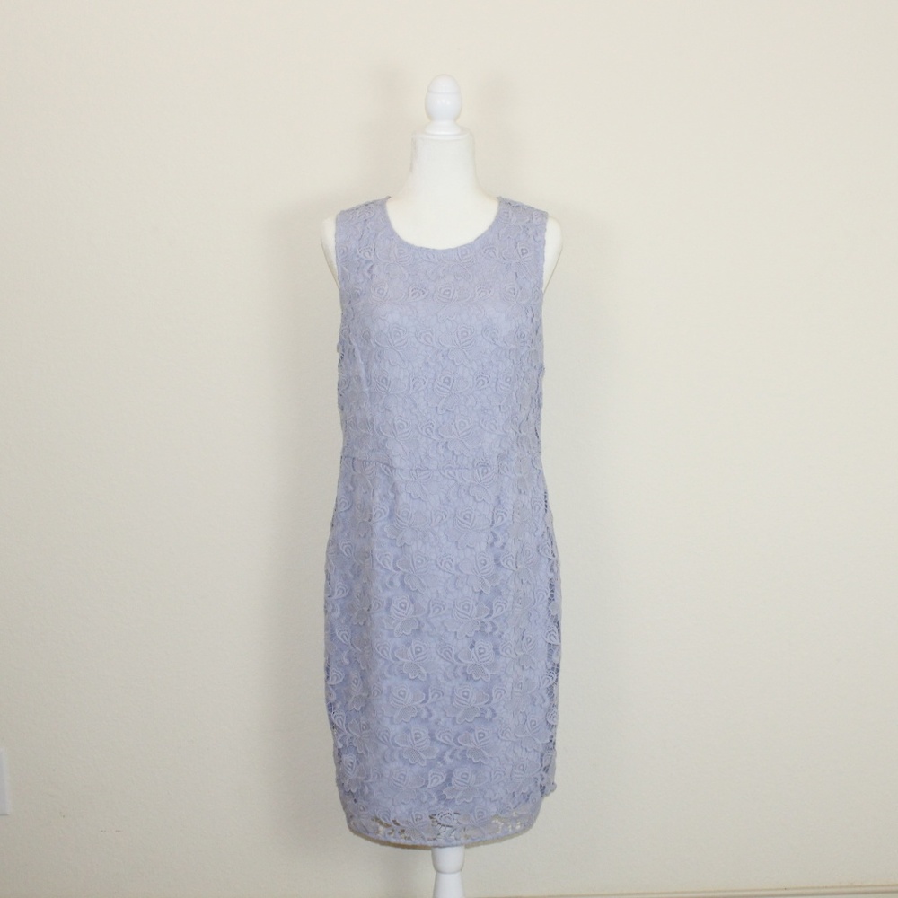Banana Republic Sleeveless Lace Sheath Dress